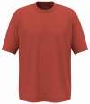 NS352 Native Spirit Oversized T-Shirt Paprika colour image